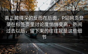 真正藏得深的反而在后面，P站网页登录在标签页里讨论度悄悄变高，热闹过去以后，留下来的往往就是这些细节