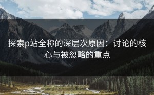 探索p站全称的深层次原因：讨论的核心与被忽略的重点