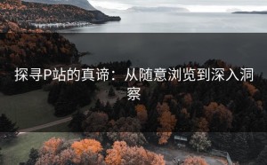 探寻P站的真谛：从随意浏览到深入洞察