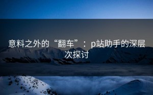 意料之外的“翻车”：p站助手的深层次探讨