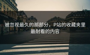 被忽视最久的那部分，P站的收藏夹里最耐看的内容