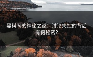 黑料网的神秘之谜：讨论失控的背后有何秘密？