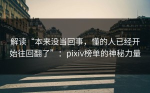 解读“本来没当回事，懂的人已经开始往回翻了”：pixiv榜单的神秘力量