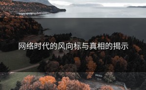 网络时代的风向标与真相的揭示