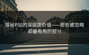 探秘P站的深层次价值——那些被忽略却最有用的部分
