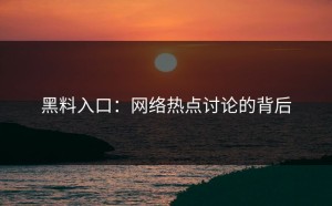 黑料入口：网络热点讨论的背后