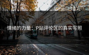 情绪的力量：P站评论区的真实写照