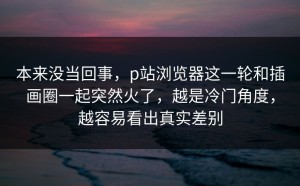 本来没当回事，p站浏览器这一轮和插画圈一起突然火了，越是冷门角度，越容易看出真实差别