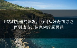 P站浏览器的爆发，为何从好奇到讨论再到热点，信息密度超预期