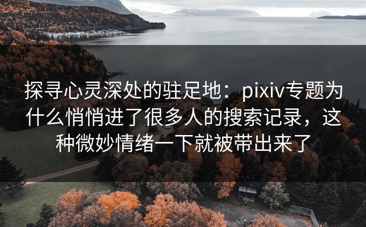 探寻心灵深处的驻足地：pixiv专题为什么悄悄进了很多人的搜索记录，这种微妙情绪一下就被带出来了