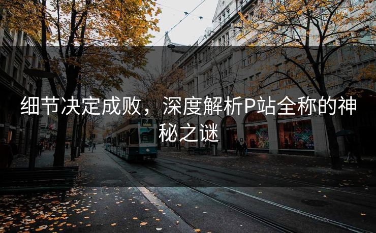 细节决定成败，深度解析P站全称的神秘之谜
