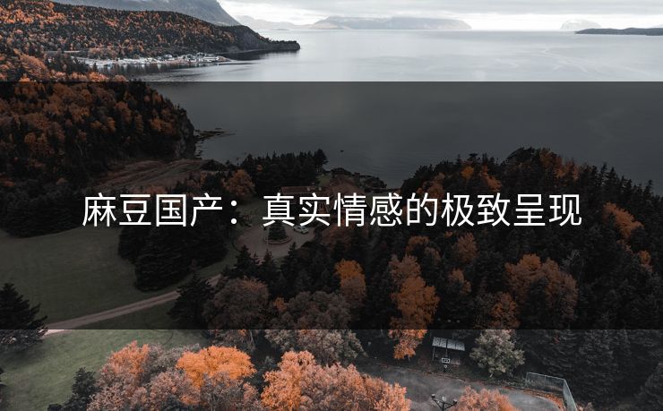 麻豆国产：真实情感的极致呈现